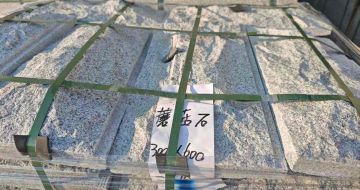 自贡芝麻白蘑菇石，自然面